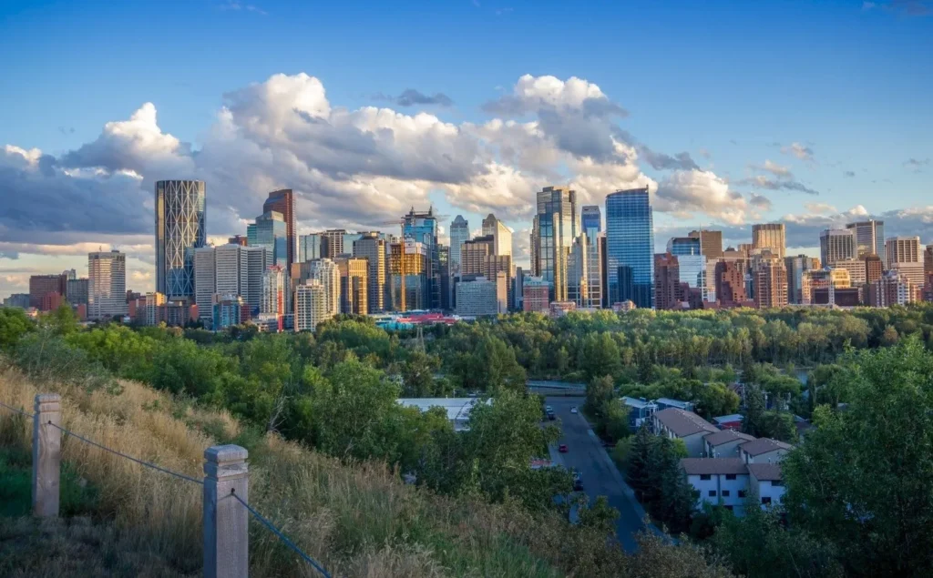 calgary business for sale