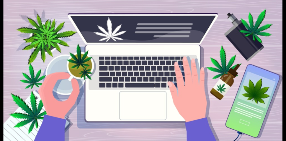 cannabis business social network