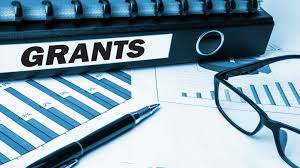 what is a business grant