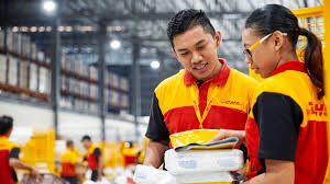 what is roadget business dhl